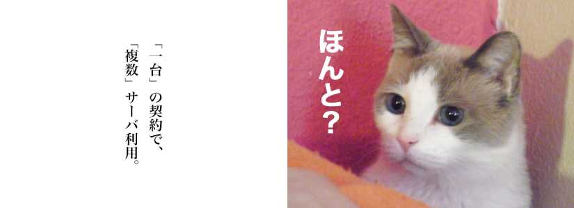ほんと?.psd